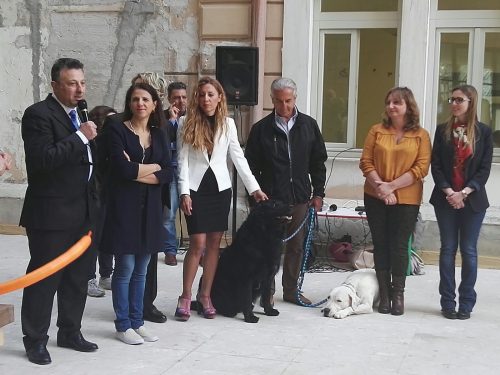 Pet therapy a Palermo, cani e conigli entrano in ospedale